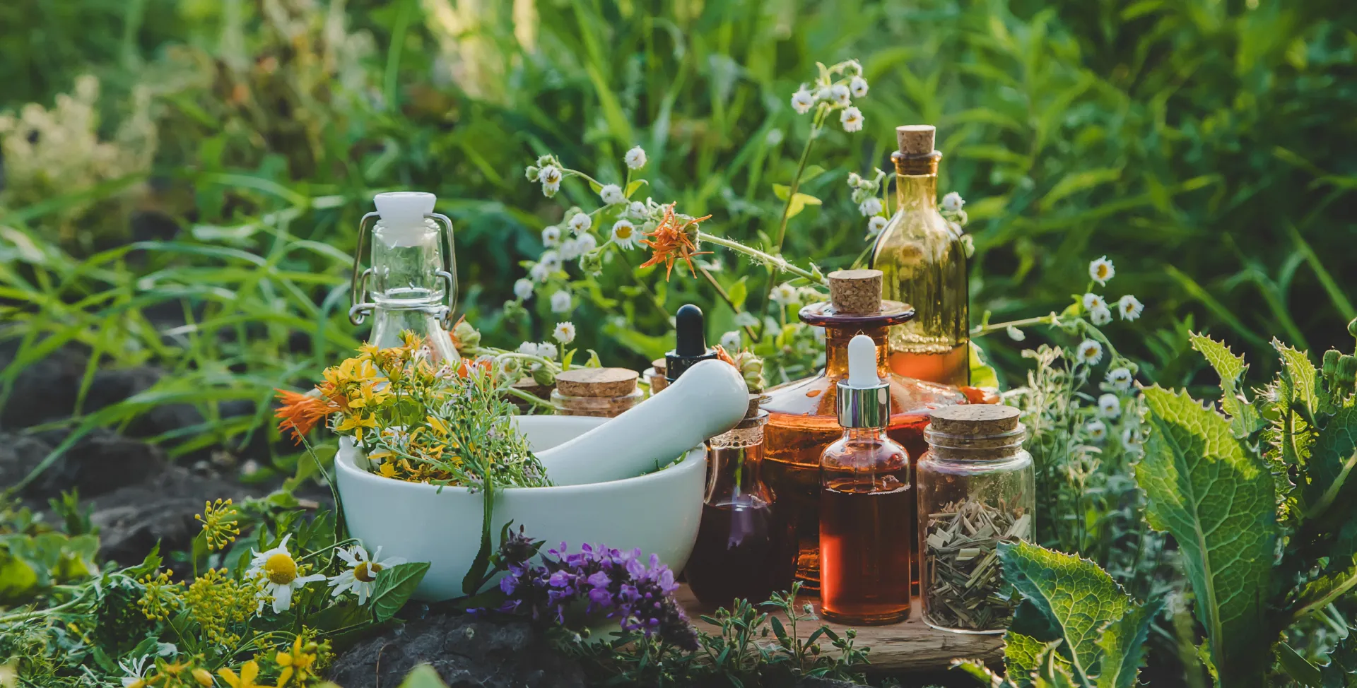 Herbes et flacons en plein air