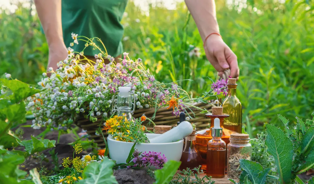 Herbes et huiles naturelles dans un jardin