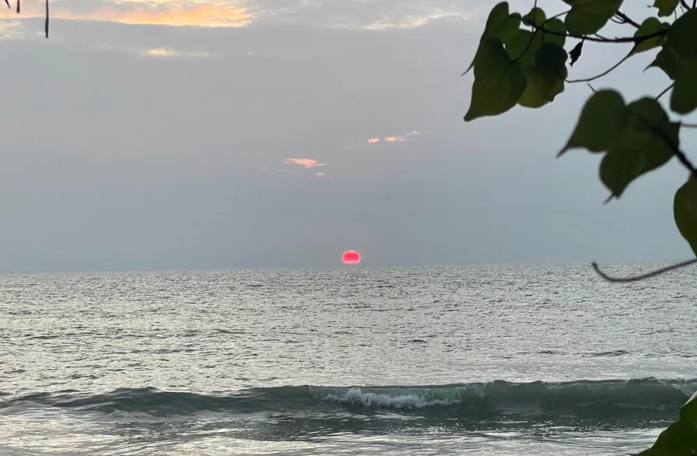 Coucher de soleil sur la mer avec feuillage