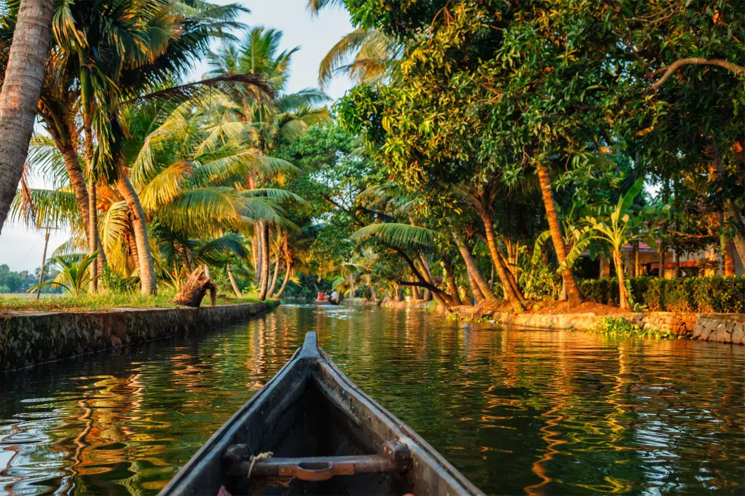 Canal bordé de palmiers au coucher du soleil